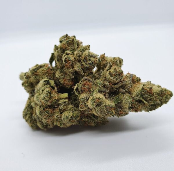 Award-Winning Chocolope CBD Flower | The CBD Flower Shop