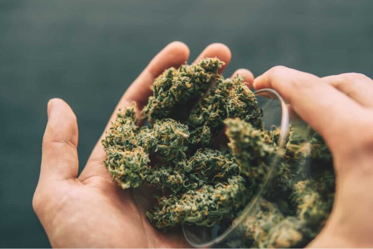 The CBD Flower Shop