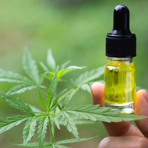 CBD OIL
