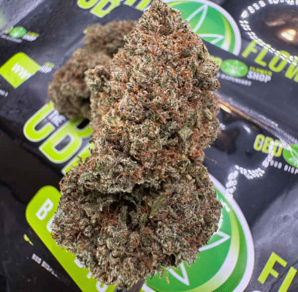 Critical Kush CBD Tea Flower – Earthy Indica (18% CBD)
