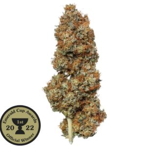 Flow Gardens Orange Glaze CBD Flower