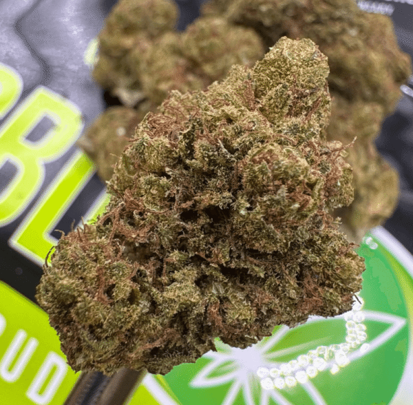 Jack Herer Whole Hemp CBD Flower – Uplifting Sativa
