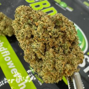 Jaffa Cake Strain CBD Flower – 17% CBD Indoor Hybrid
