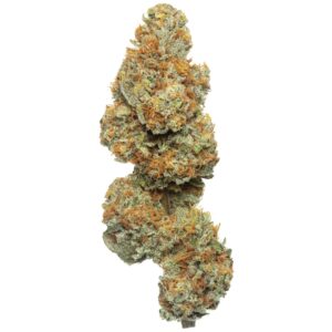 Mango Tree CBD Flower – Tropical Flavour, Premium Quality