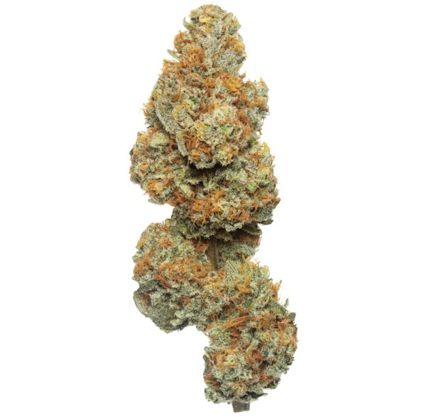 Mango Tree CBD Flower – Tropical Flavour, Premium Quality
