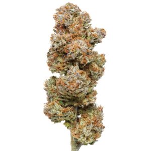 Sour Tsunami - Flow Gardens USA Grown CBD Flower