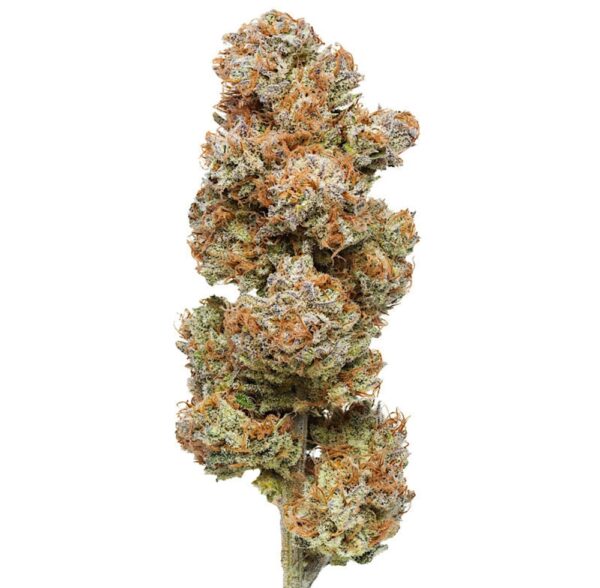 Sour Tsunami - Flow Gardens USA Grown CBD Flower