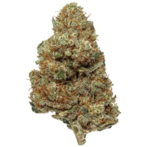 Wipeout CBD Flower – Gassy Aroma, 15% CBD, Big Buds